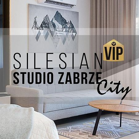 Studio Silesian Vip City Centrum Free Parking Zabrze Exteriör bild