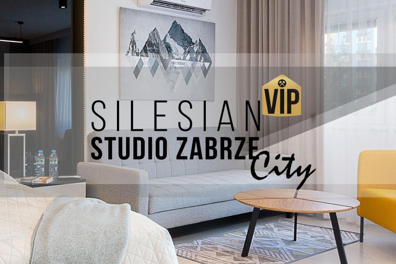 Studio Silesian Vip City Centrum Free Parking Zabrze Exteriör bild